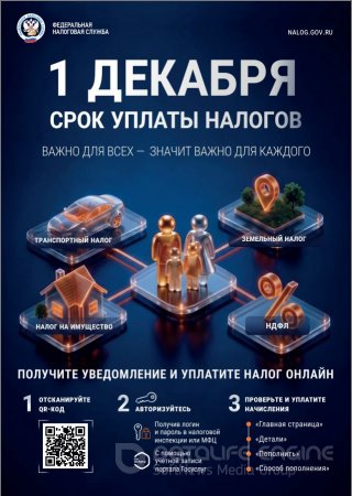 1 декабря срок уплаты налогов